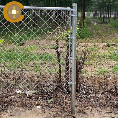 Grelha de cercas galvanizadas de ligação de cadeia de ferro com revestimento de plástico