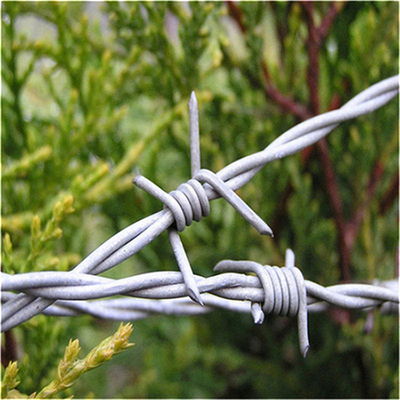 Fios de barbante de ferro galvanizados de bobina única