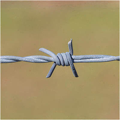Fios de barbante de ferro galvanizados de bobina única