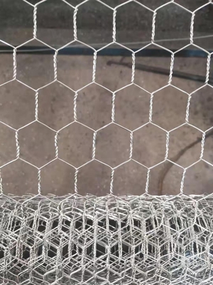 1.5mm Galvanizado Ferro fio Chickenwire malha de vedação para fabricação de gaiolas
