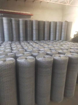 1.5mm Galvanizado Ferro fio Chickenwire malha de vedação para fabricação de gaiolas