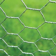 Rede de fios de aves de capoeira hexagonais galvanizados para galinheiro