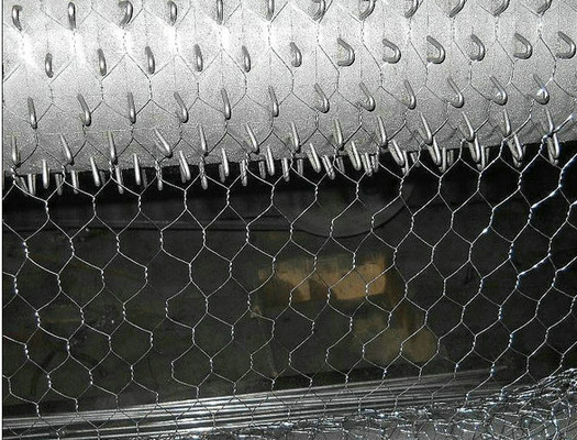 Rede de fios de aves de capoeira hexagonais galvanizados para galinheiro