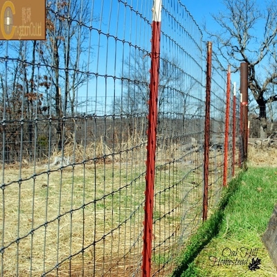 Galvanizado Hexagon aço rede de arame para gaiolas de frango de aves de capoeira