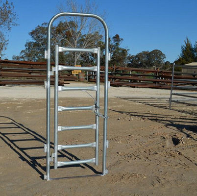 Cercas de malha de arame galvanizado anti-ferrugem para aves de capoeira e pecuária