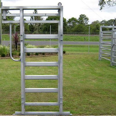 Cercas de malha de arame galvanizado anti-ferrugem para aves de capoeira e pecuária