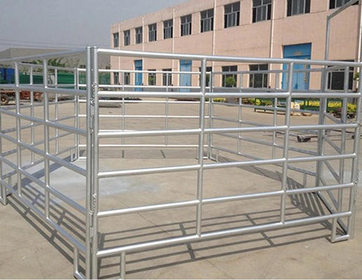 Cercas de malha de arame galvanizado soldado gado gado ovelhas cercas de porco em rolos 300x48