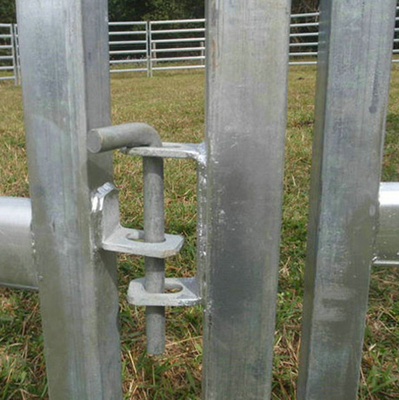 Cercas de malha de arame galvanizado soldado gado gado ovelhas cercas de porco em rolos 300x48